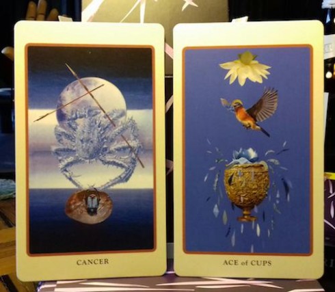 Cancer &amp; Ace of Cups