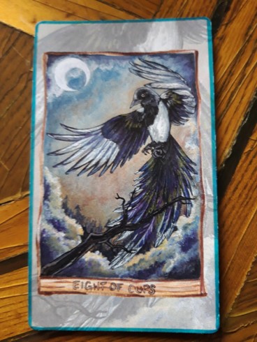 Magpie - 8 of Cups